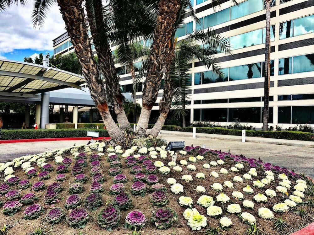 Sheraton Ontario Airport Hotel Kültér fotó